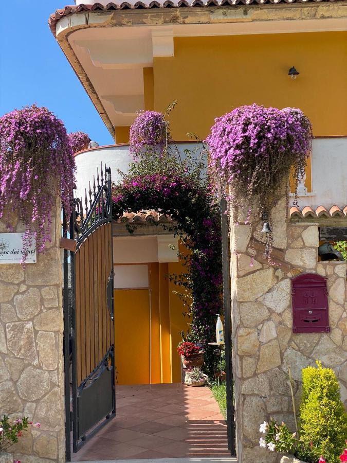 Rosa Dei Venti Accomodation Tropea Exteriér fotografie